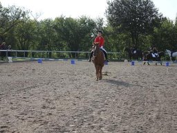 img-2865-068-880